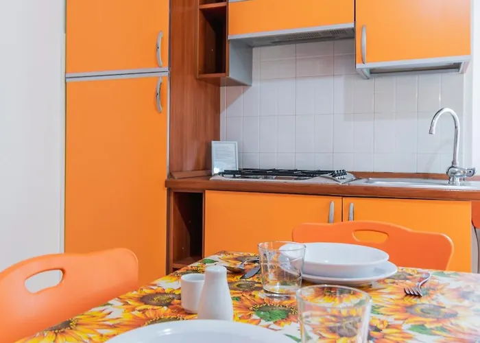 キャンプ場 Apuano *