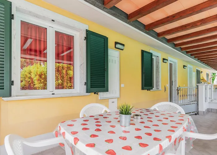 Apuano キャンプ場 *