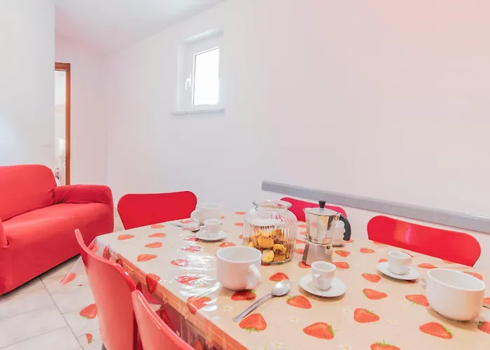 キャンプ場 Apuano