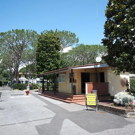 Apuano