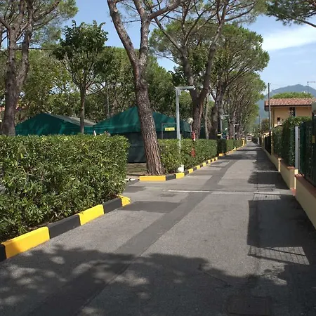 Apuano